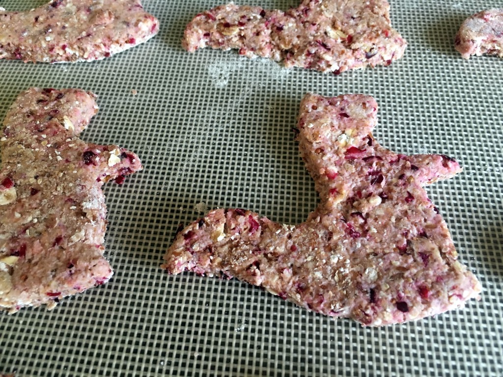 Treats lined up on a baking sheet