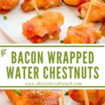 Long pin of Bacon Wrapped Water Chestnuts with tiel