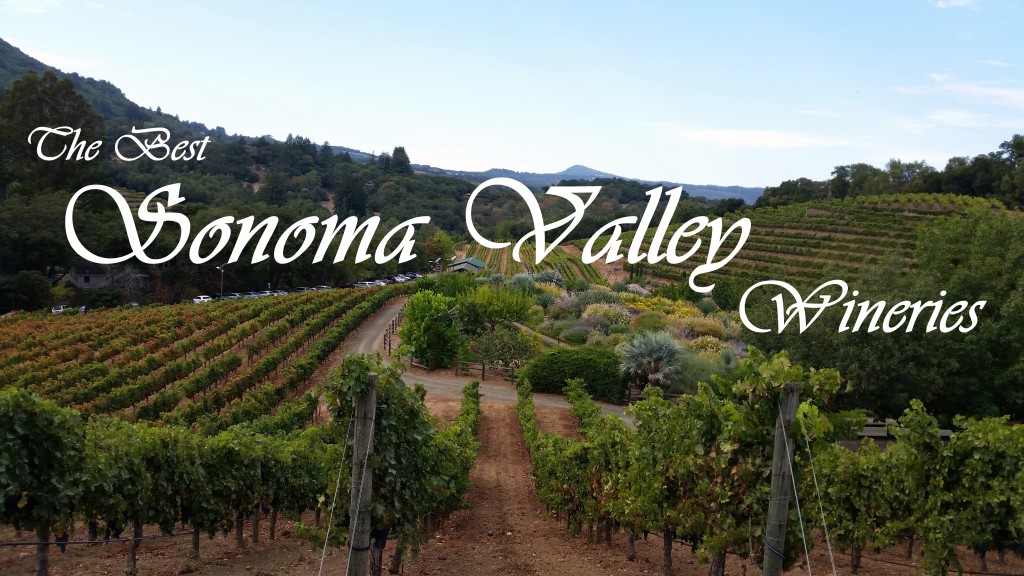 The Best Sonoma Valley Wineries | Three Olives Branch