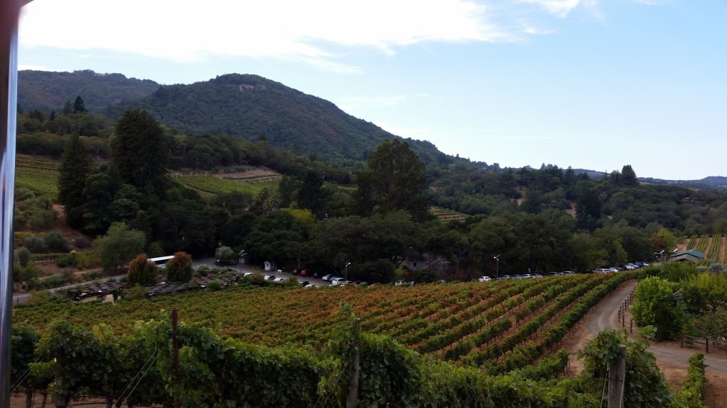 The Best Sonoma Valley Wineries - Benziger| Three Olives Branch