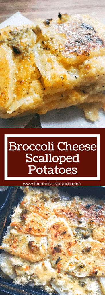 Broccoli Cheese Scalloped Potatoes - Three Olives Branch