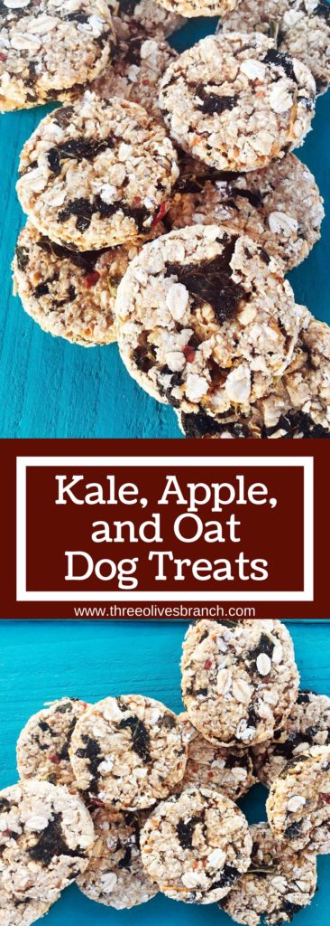 Kale, Apple, and Oat Dog Treats are a great healthy alternative for your pet! Simple to make and full of quality ingredients unlike many store brands | Three Olives Branch