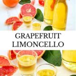 Pin of Grapefruit Limoncello (Grapefruit-cello) with title.