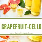 Longer pin of Grapefruit Limoncello (Grapefruit-cello) with title.