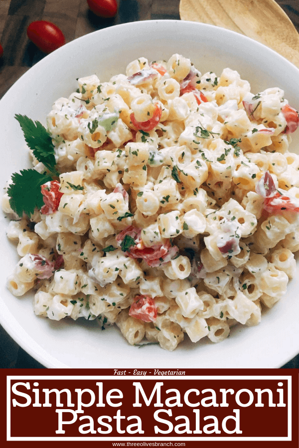 Simple Macaroni Salad is a quick side dish recipe for summer BBQ and grilling parties like Memorial Day, 4th of July, and Labor Day. Red onion, celery, and tomato are mixed with ditalini pasta in a creamy, tangy sauce. #pastasalad #macaronisalad #bbqsides