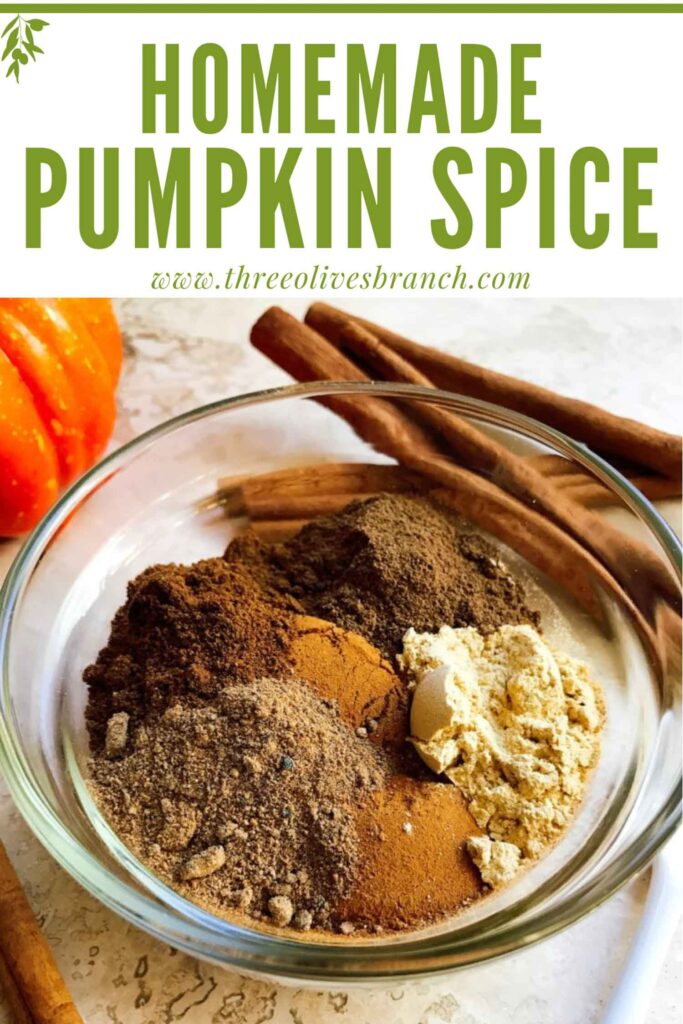 Pin of How to Make Pumpkin Pie Spice with the spices all separated in a glass bowl with title