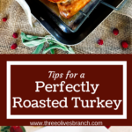 Long pin image for turkey roasting tips with title