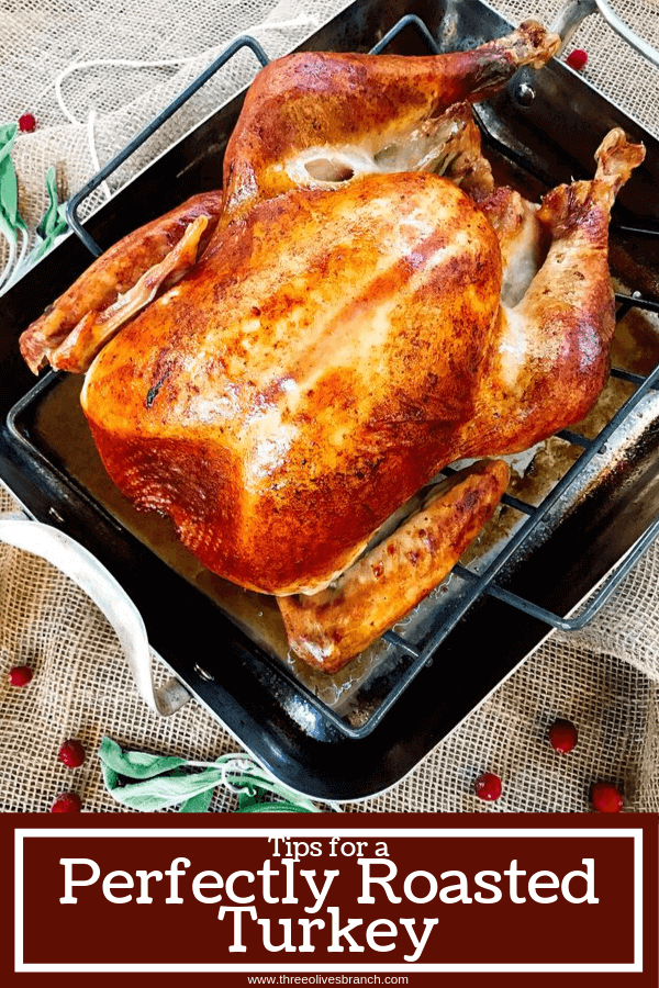 A roasted turkey in a roasting pan from the top with pin title at bottom