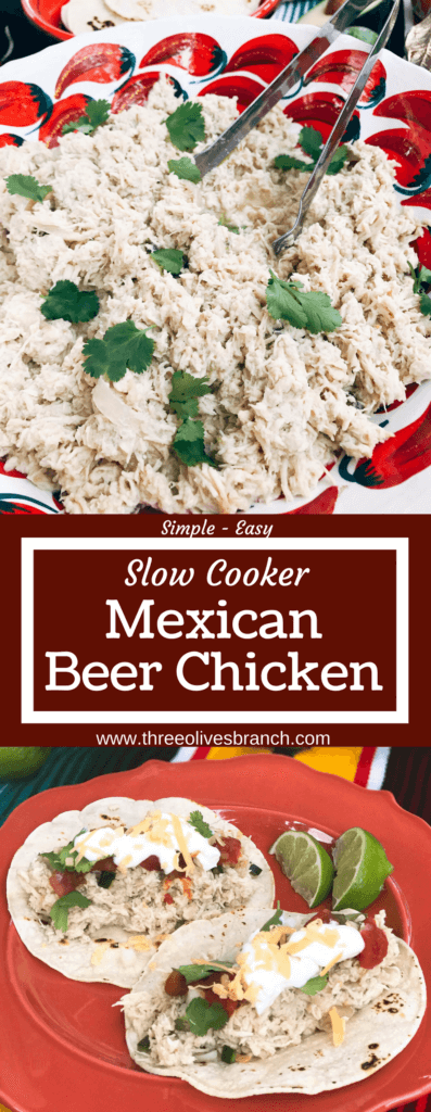 Quick and easy slow cooker chicken is perfect for tacos, enchiladas, and more! Serve it up as an easy taco bar, perfect for your guests and entertaining at parties and Cinco de Mayo. Green chiles, onion, cumin, and Corona beer are a perfect flavor combination for light and delicious tacos or Mexican food. Simple and fast to put together. Slow Cooker Mexican Beer Chicken | Three Olives Branch | www.threeolivesbranch.com