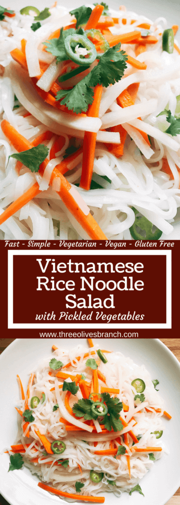 A simple and fast gluten free side dish that is perfect for summer grilling and entertaining. Vegan and vegetarian, this noodle salad is easy to make and a great fresh addition to a BBQ or party like the 4th of July or Father's Day. Add some tofu, chicken, or shrimp for a full dinner meal. Pickled carrots and daikon radish in a rice vinegar bright a fresh brightness and acidity. Make it spicy with some serrano or jalapeno. Vietnamese Pickled Vegetable Rice Noodle Salad | Three Olives Branch | www.threeolivesbranch.com