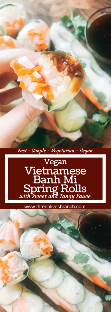 Quick and simple fresh spring rolls featuring banh mi flavors of cucumber, pickled vegetables, cilantro, and rice noodles in a rice wrapper. Pickle your own carrots and daikon for a completely customized and homemade recipe. Vegan, vegetarian, and gluten free. Serve them with the sweet and tangy hoisin sauce or your favorite Asian dipping sauce. Great for a healthy snack, appetizer, or lunch and as a New Years resolution recipe. Vietnamese Vegan Banh Mi Spring Rolls | Three Olives Branch | www.threeolivesbranch.com