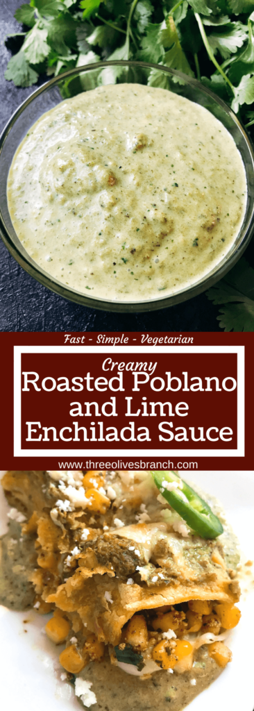 Creamy Roasted Poblano and Lime Enchilada Sauce recipe is a quick and easy green homemade enchilada sauce. Poblano peppers and lime flavor this sour cream or healthy Greek yogurt creamy Mexican sauce for any enchilada filling. Keto, Low Carb, Gluten Free, Vegetarian #homemadeenchiladasauce #greenenchiladasauce 