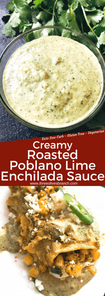 Creamy Roasted Poblano and Lime Enchilada Sauce recipe is a quick and easy green homemade enchilada sauce. Poblano peppers and lime flavor this sour cream or healthy Greek yogurt creamy Mexican sauce for any enchilada filling. Keto, Low Carb, Gluten Free, Vegetarian #homemadeenchiladasauce #greenenchiladasauce 