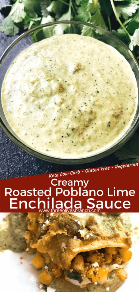 Creamy Roasted Poblano and Lime Enchilada Sauce recipe is a quick and easy green homemade enchilada sauce. Poblano peppers and lime flavor this sour cream or healthy Greek yogurt creamy Mexican sauce for any enchilada filling. Keto, Low Carb, Gluten Free, Vegetarian #homemadeenchiladasauce #greenenchiladasauce 