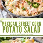 Long pin for Mexican Street Corn Potato Salad with title