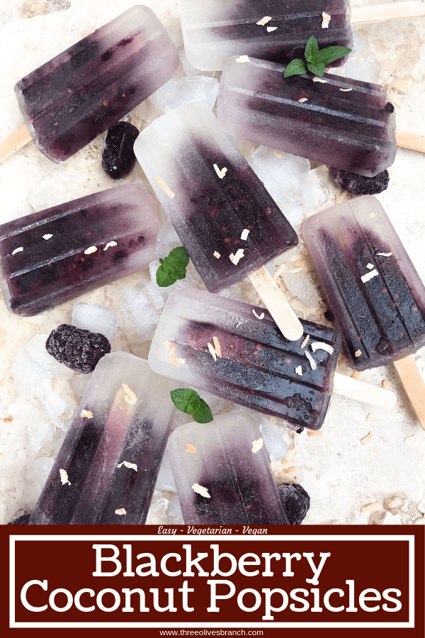 Quick and simple healthy popsicle recipe. Coconut water, blackberries and a little sugar (optional) for a fun and sweet kid friendly summer treat. Vegan, vegetarian, gluten free (GF) and can be paleo and Whole30 without the sugar. Blackberry Coconut Popsicles #popsicles