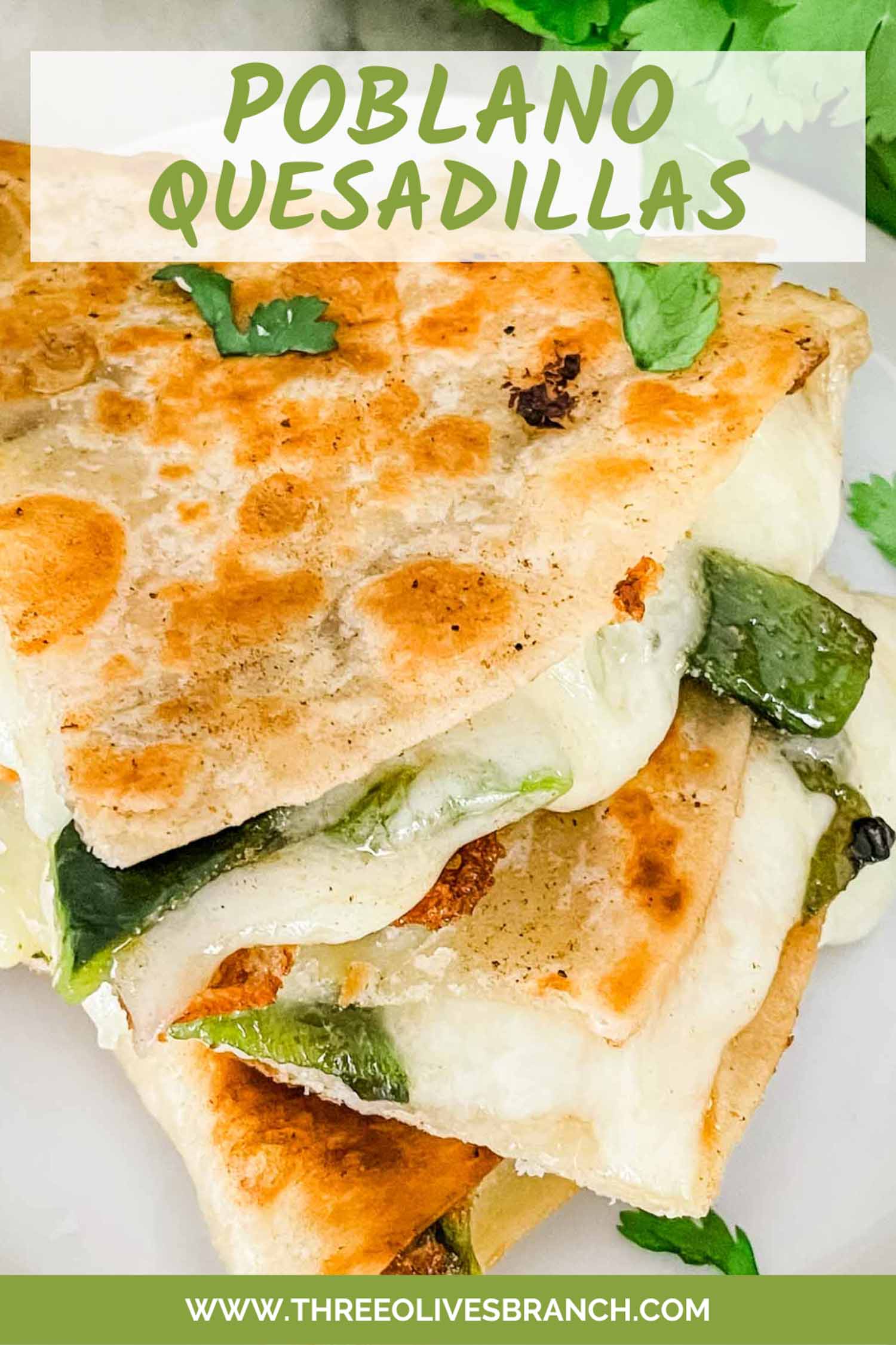 Chile Relleno Quesadilla Three Olives Branch