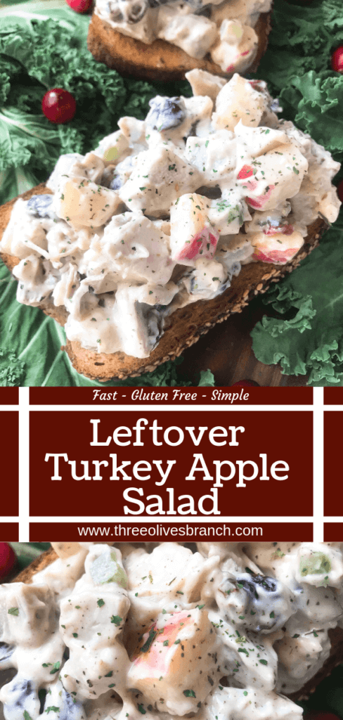 Ready in 10 minutes, Leftover Turkey Apple Salad recipe is a great gluten free way to use up Thanksgiving turkey leftovers. Simple and fast to make, turkey is mixed with apple, dried cranberries, sage, and some gravy in a mayonnaise mixture. #thanksgivingleftovers #thanksgivingrecipes #turkeyrecipes #turkeyleftovers #glutenfree