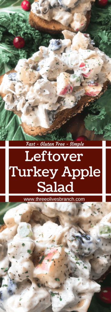 Ready in 10 minutes, Leftover Turkey Apple Salad recipe is a great gluten free way to use up Thanksgiving turkey leftovers. Simple and fast to make, turkey is mixed with apple, dried cranberries, sage, and some gravy in a mayonnaise mixture. #thanksgivingleftovers #thanksgivingrecipes #turkeyrecipes #turkeyleftovers #glutenfree