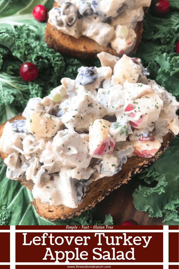 Ready in 10 minutes, Leftover Turkey Apple Salad recipe is a great gluten free way to use up Thanksgiving turkey leftovers. Simple and fast to make, turkey is mixed with apple, dried cranberries, sage, and some gravy in a mayonnaise mixture. #thanksgivingleftovers #thanksgivingrecipes #turkeyrecipes #turkeyleftovers #glutenfree