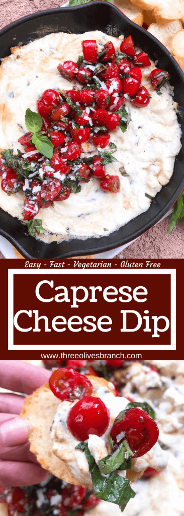 Caprese Cheese Dip is a fast and simple vegetarian Italian appetizer recipe. Three cheeses (mozzarella, cream cheese, Parmesan) are melted with seasonings and topped with fresh tomatoes, fresh basil, and balsamic vinegar. #cheesedip #caprese #italianrecipe