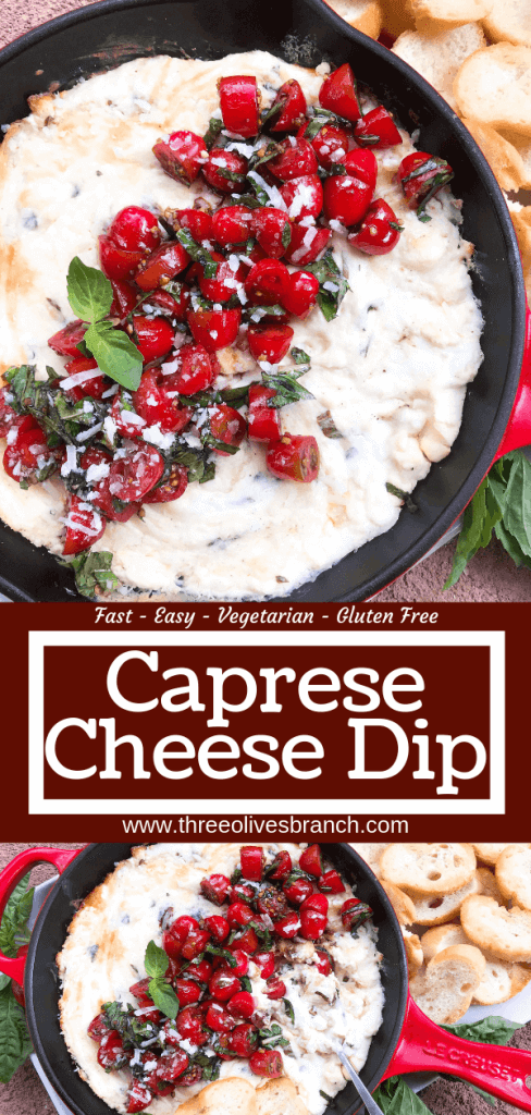 Caprese Cheese Dip is a fast and simple vegetarian Italian appetizer recipe. Three cheeses (mozzarella, cream cheese, Parmesan) are melted with seasonings and topped with fresh tomatoes, fresh basil, and balsamic vinegar. #cheesedip #caprese #italianrecipe