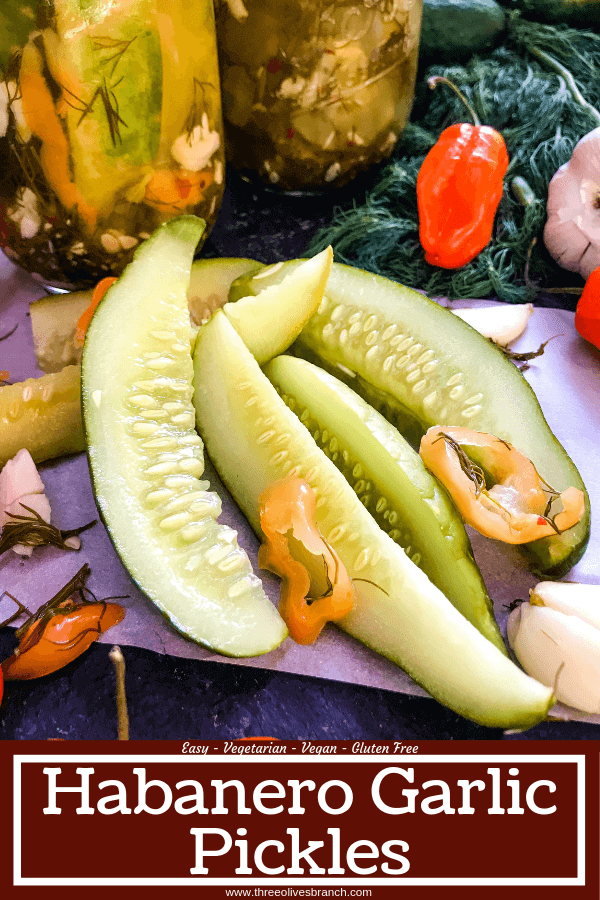 These homemade spicy pickles are easy to make! A dill pickle with a hint of garlic and a spicy pepper kick, these Homemade Habanero Garlic Pickles are vegan, vegetarian, gluten free, and dairy free. Cut the cucumbers in any shape you prefer. #homemadepickles #spicypickles