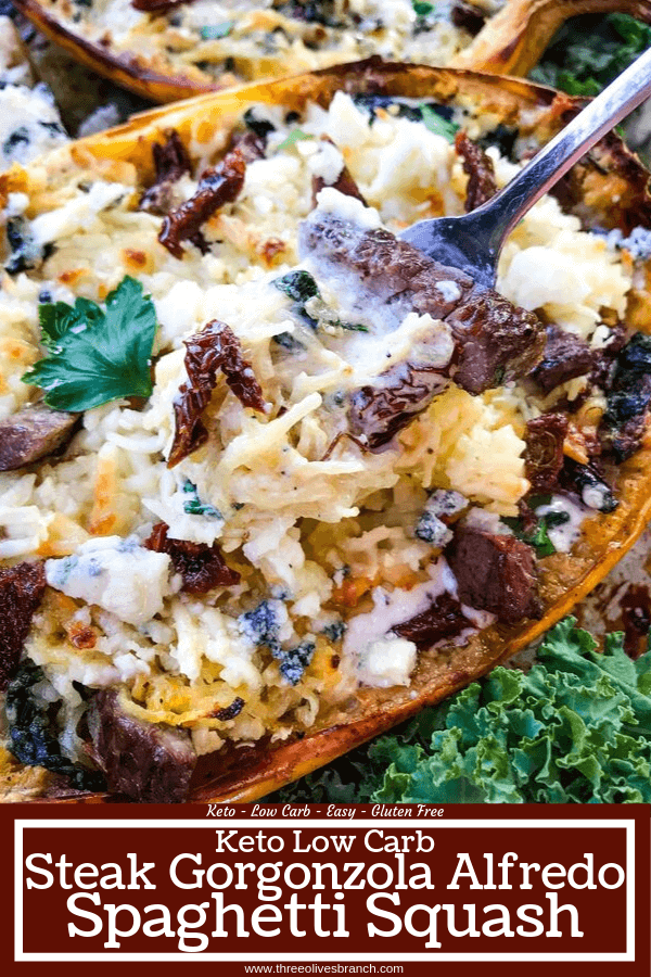 A stuffed spaghetti squash recipe, Keto Low Carb Steak Gorgonzola Alfredo Spaghetti Squash is a healthier low carb keto twist on a copycat Olive Garden pasta classic. Parmesan alfredo sauce mixed with sundried tomatoes, gorgonzola blue cheese, and spinach with steak. #copycatolivegarden #ketopasta #lowcarbpasta 