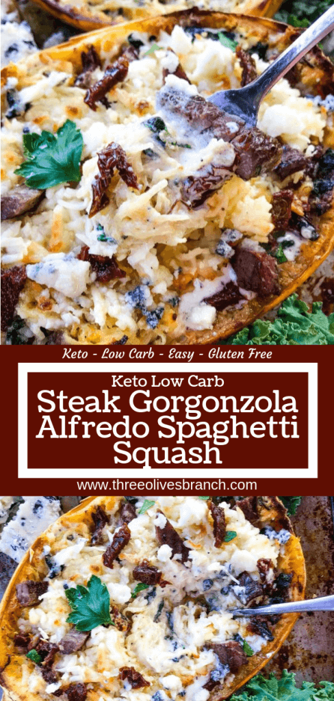 A stuffed spaghetti squash recipe, Keto Low Carb Steak Gorgonzola Alfredo Spaghetti Squash is a healthier low carb keto twist on a copycat Olive Garden pasta classic. Parmesan alfredo sauce mixed with sundried tomatoes, gorgonzola blue cheese, and spinach with steak. #copycatolivegarden #ketopasta #lowcarbpasta 