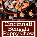 Long pin for Cincinnati Bengals Puppy Chow with title