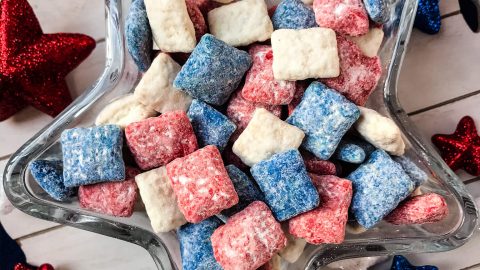 Blue puppy chow outlet