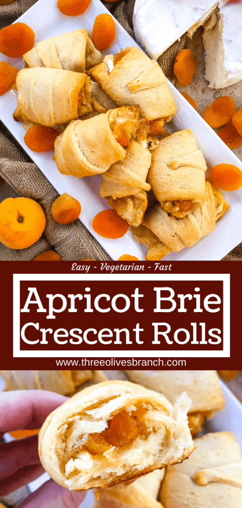 Apricot Brie Crescent Rolls are a cheese crescent roll recipe filled with apricot jam, dried apricots, and brie cheese. Fast and easy sweet bread recipe. #crescentrolls #cheesycrescentrolls #driedapricots