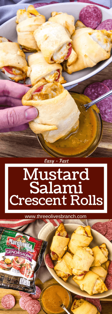 Cheesy Mustard Salami Crescent Rolls are filled with Margherita® Genoa Salami, cheese, and a simple mustard sauce served with more mustard sauce for dipping! An easy and fast appetizer recipe for party entertaining and game day or snack. #crescentrolls #salami #appetizerrecipes