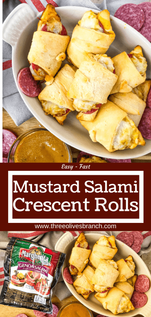 Cheesy Mustard Salami Crescent Rolls are filled with Margherita® Genoa Salami, cheese, and a simple mustard sauce served with more mustard sauce for dipping! An easy and fast appetizer recipe for party entertaining and game day or snack. #crescentrolls #salami #appetizerrecipes