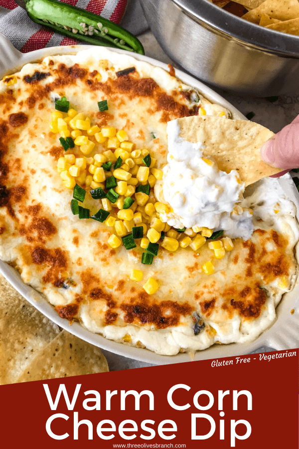 Warm Corn Cheese Dip is packed with three cheeses and corn for a fast and easy appetizer recipe. It takes just minutes to make this vegetarian and gluten free corn dip for a party, game day, or holiday appetizer. #corndip #cheesedip