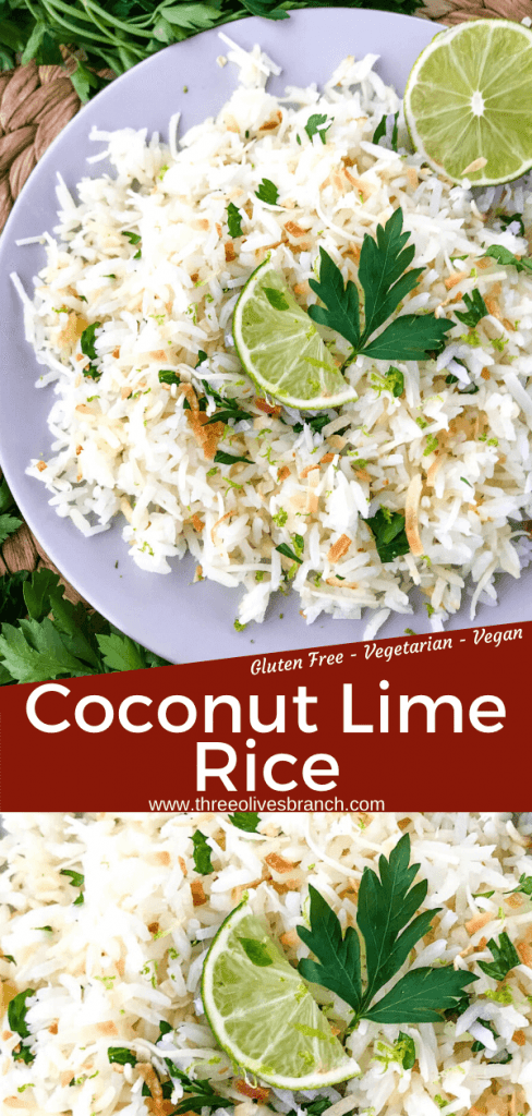 Coconut Lime Rice is a tropical side dish recipe made with coconut milk, toasted coconut flakes, and fresh lime. Vegan, vegetarian, and gluten free. Also can be made in a rice cooker or Instant Pot. #coconutrice #coconutlime #ricerecipes