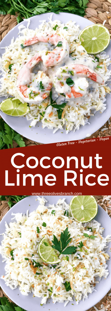 Coconut Lime Rice is a tropical side dish recipe made with coconut milk, toasted coconut flakes, and fresh lime. Vegan, vegetarian, and gluten free. Also can be made in a rice cooker or Instant Pot. #coconutrice #coconutlime #ricerecipes