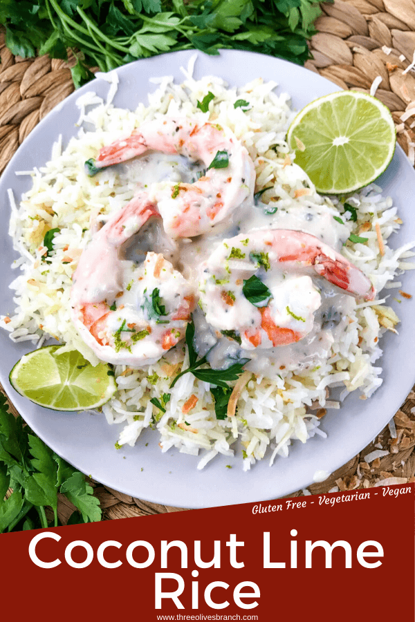 Coconut Lime Rice is a tropical side dish recipe made with coconut milk, toasted coconut flakes, and fresh lime. Vegan, vegetarian, and gluten free. Also can be made in a rice cooker or Instant Pot. #coconutrice #coconutlime #ricerecipes