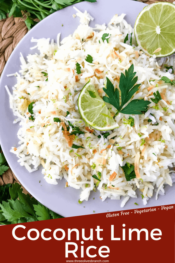 Coconut Lime Rice is a tropical side dish recipe made with coconut milk, toasted coconut flakes, and fresh lime. Vegan, vegetarian, and gluten free. Also can be made in a rice cooker or Instant Pot. #coconutrice #coconutlime #ricerecipes