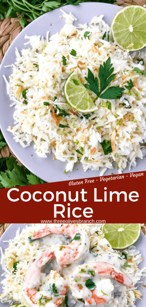 Coconut Lime Rice is a tropical side dish recipe made with coconut milk, toasted coconut flakes, and fresh lime. Vegan, vegetarian, and gluten free. Also can be made in a rice cooker or Instant Pot. #coconutrice #coconutlime #ricerecipes