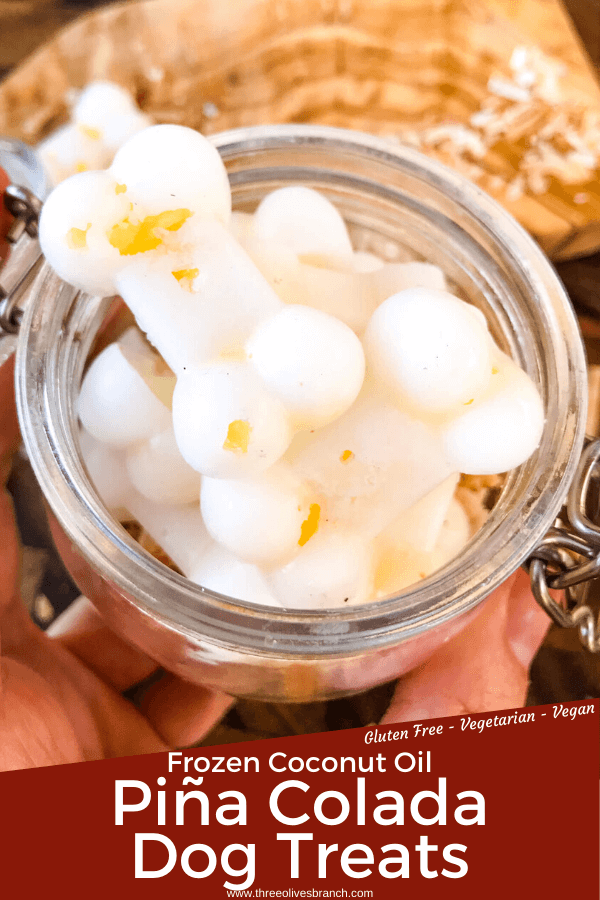 Frozen Pina Colada Dog Treats are a simple, healthy, easy DIY homemade dog treat recipe made with pineapple, coconut, and coconut oil which is great for their fur and skin. Check with your vet for any concerns. #homemadedogtreats #coconutoil #diydogtreats