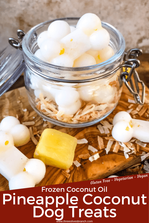 Frozen Pina Colada Dog Treats are a simple, healthy, easy DIY homemade dog treat recipe made with pineapple, coconut, and coconut oil which is great for their fur and skin. Check with your vet for any concerns. #homemadedogtreats #coconutoil #diydogtreats