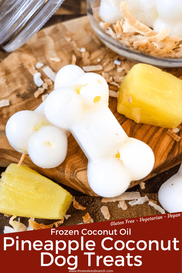 Frozen Pina Colada Dog Treats are a simple, healthy, easy DIY homemade dog treat recipe made with pineapple, coconut, and coconut oil which is great for their fur and skin. Check with your vet for any concerns. #homemadedogtreats #coconutoil #diydogtreats