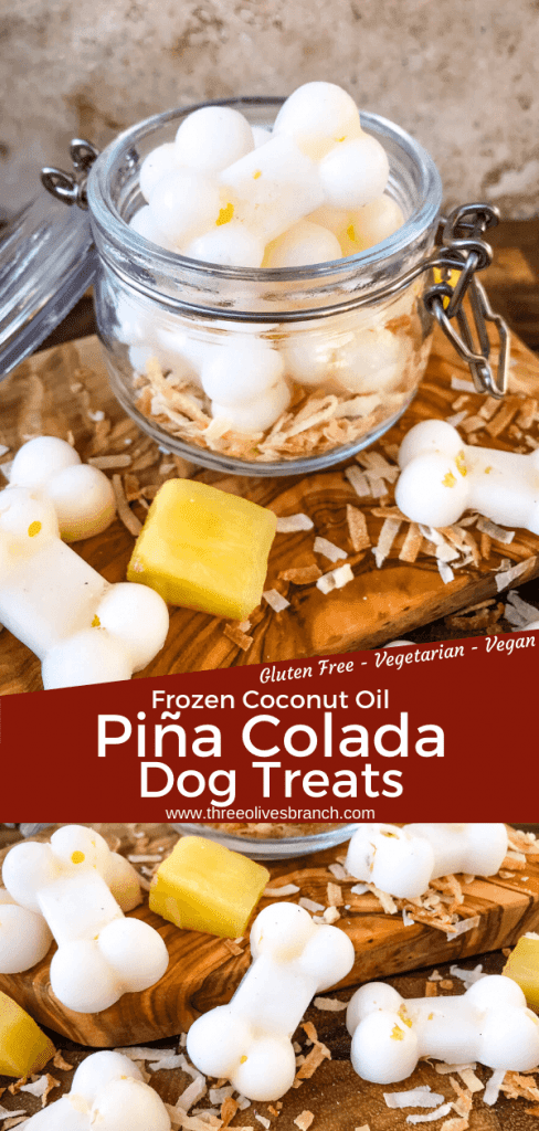 Frozen Pina Colada Dog Treats are a simple, healthy, easy DIY homemade dog treat recipe made with pineapple, coconut, and coconut oil which is great for their fur and skin. Check with your vet for any concerns. #homemadedogtreats #coconutoil #diydogtreats