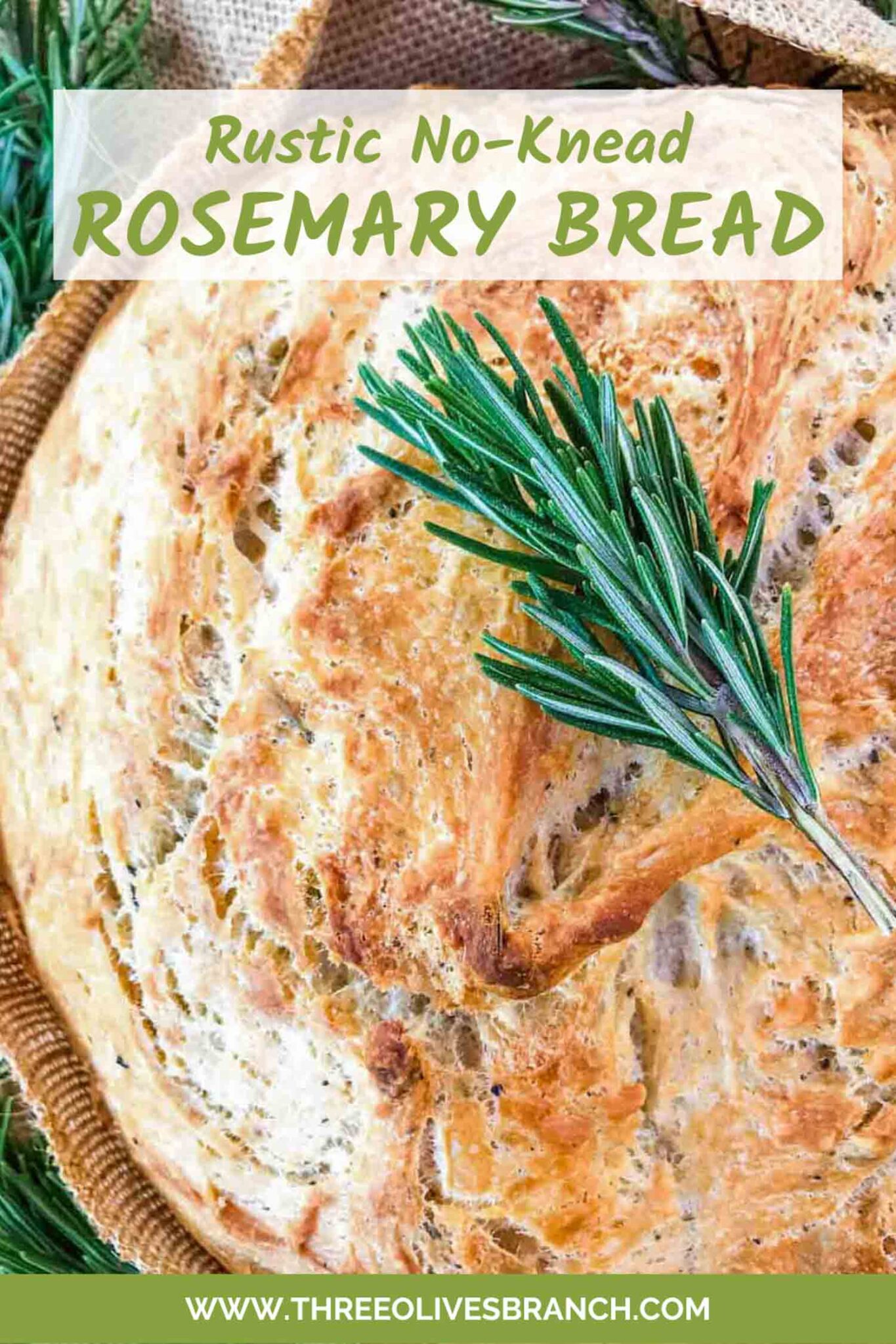 No Knead Rustic Rosemary Bread Three Olives Branch