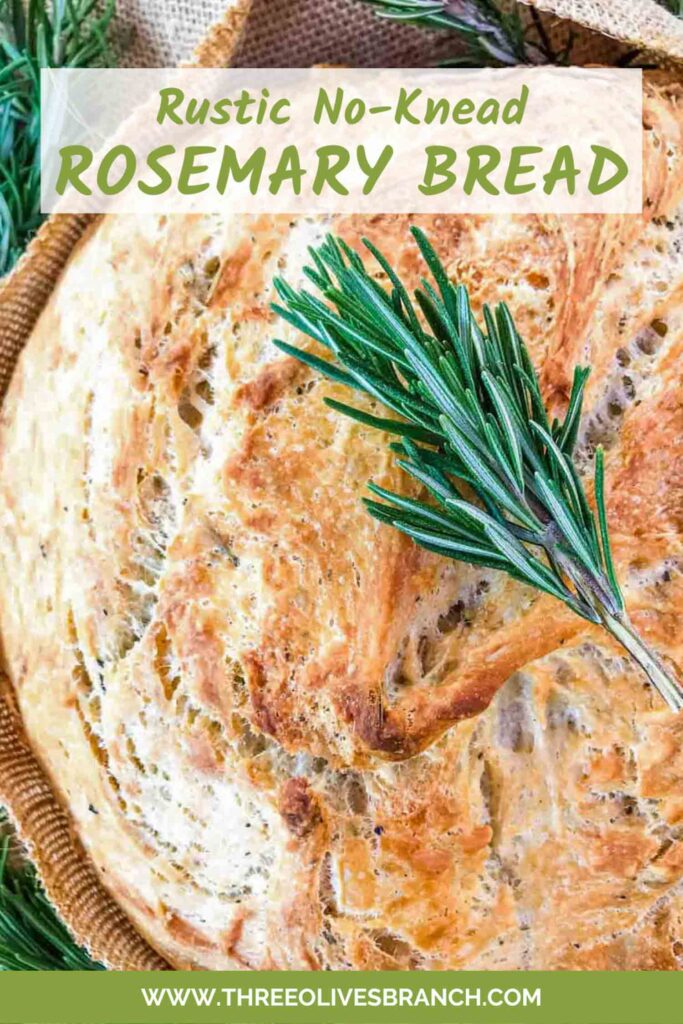 Pin of No Knead Rustic Rosemary Bread loaf from the top with title