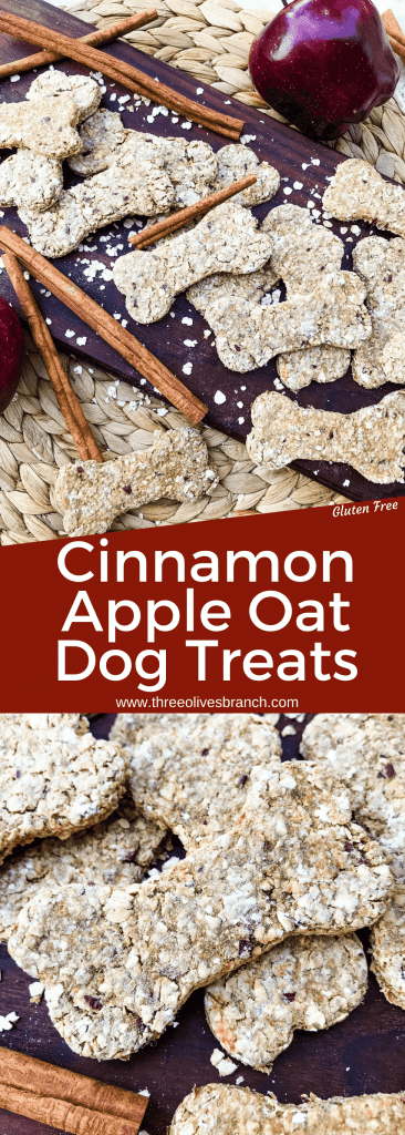 Oat Cinnamon Apple Dog Treats are full of simple ingredients in an easy homemade dog treat. These dog cookies are gluten free. Add flax seed if desired. #cinnamonapple #dogtreats #dogcookies