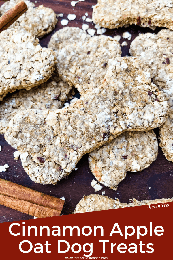 Oat Cinnamon Apple Dog Treats are full of simple ingredients in an easy homemade dog treat. These dog cookies are gluten free. Add flax seed if desired. #cinnamonapple #dogtreats #dogcookies