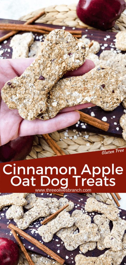 Oat Cinnamon Apple Dog Treats are full of simple ingredients in an easy homemade dog treat. These dog cookies are gluten free. Add flax seed if desired. #cinnamonapple #dogtreats #dogcookies