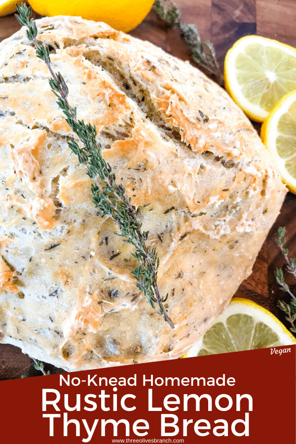 No Knead Rustic Lemon Thyme Bread is a simple homemade bread recipe. No knead and cooked in a Dutch oven, full of Italian flavors with lemon and dried herbs. #rusticbread #nokneadbread #Italianbread